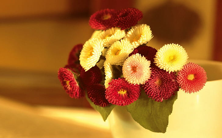 Mix Flowers, lovely, yellow, nature, pretty, beautiful, plants, flowers, 3d y abstract, Fondo de pantalla HD