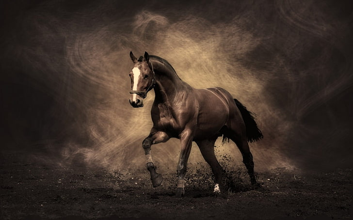 cavalo marrom pintura, cavalo, animais, HD papel de parede