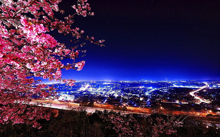 черешово дърво, пейзаж, черешов цвят, Япония, HD тапет
