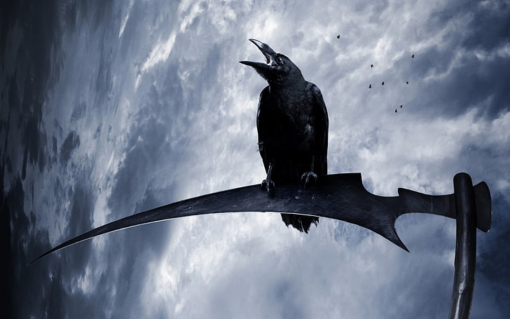 black crow, raven, animals, birds, scythe, fantasy art, HD wallpaper