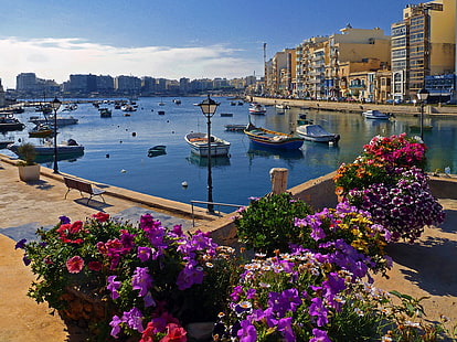 blommor, stadsbild, båt, byggnad, gatubelysning, blomkruka, Malta, HD tapet HD wallpaper