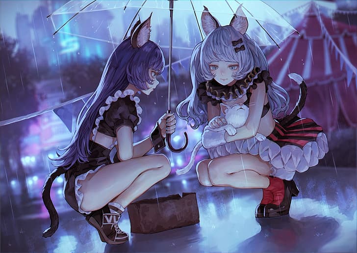 Anime, chicas anime, niña gata, pelo azul, pelo largo, paraguas, gatos,  Fondo de pantalla HD | Wallpaperbetter