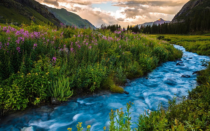 Colorado Flowers Landscape Mountains River Ultra Hd Wallpaper 14375, Fond d'écran HD