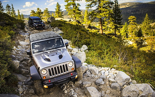 veicolo Jeep Wrangler viola e grigio, Jeep Wrangler, auto, alberi, pietre, natura, veicolo, auto d'argento, Sfondo HD HD wallpaper