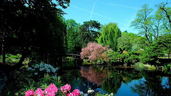 Synthétique, jardin japonais, pont, fleur, arbre, Fond d'écran HD