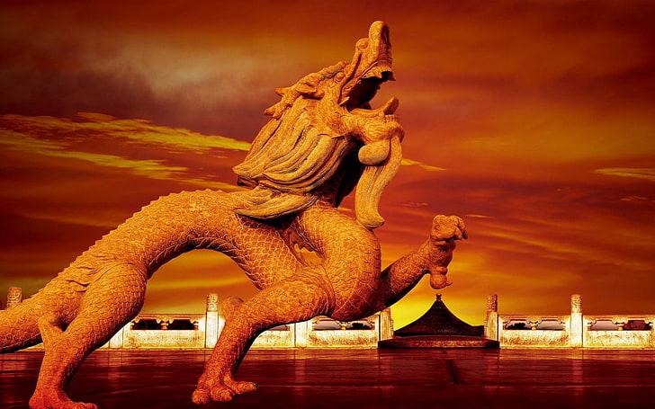 dragón chino, dragón, Fondo de pantalla HD