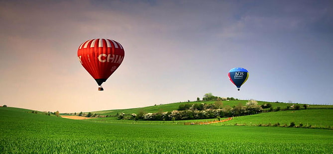 two blue and red hot air balloons above green grass and under blue skies during daytime, Race, blue and red, red hot, hot air balloons, green grass, blue skies, daytime, cloud, blue  green, landscape, Canon 40D, curve, Explore, hot Air Balloon, flying, air Vehicle, air, sky, outdoors, nature, basket, adventure, summer, sport, heat - Temperature, transportation, travel, multi Colored, HD wallpaper HD wallpaper