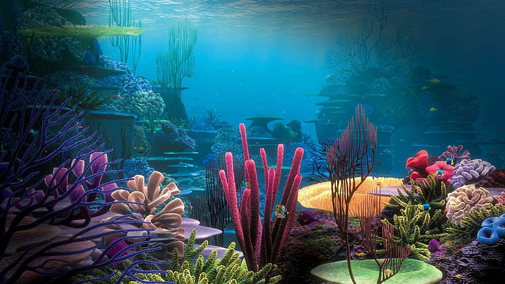 1920x1080 px coloré corail mer eau sous-marine animaux oiseaux HD Art, eau, mer, coloré, corail, sous l'eau, 1920x1080 px, Fond d'écran HD