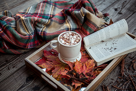 бяла керамична халба, какао, блат, каре, книга, есен, HD тапет HD wallpaper