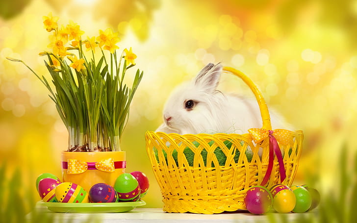 Бял любопитен заек, заек, 2014 Великден, Великденски яйца, 2014 Великденски яйца, Великденски яйца 2014, HD тапет