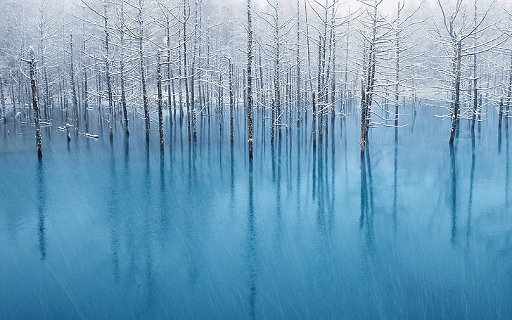 ธรรมชาติต้นไม้น้ำภูมิทัศน์สะท้อนสีน้ำเงินหิมะขาวฤดูหนาวหิมะบ่อ, วอลล์เปเปอร์ HD