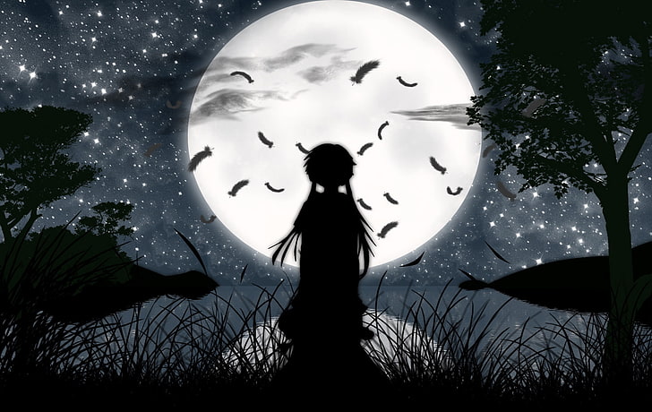 silhouette of girl looking at moon wallpaper, Mirai, Mirai Nikki, future diary, HD wallpaper