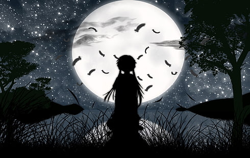 silhouette di una ragazza che guarda lo sfondo della luna, Mirai, Mirai Nikki, diario futuro, Sfondo HD HD wallpaper