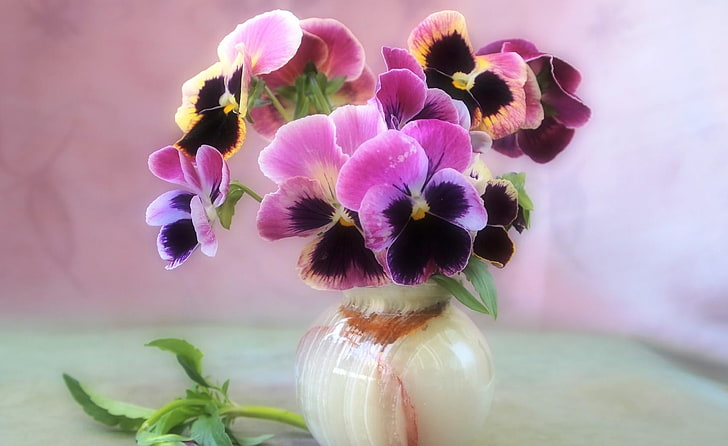 pink and black flower illustration, pansies, flowers, bouquet, vase, HD wallpaper
