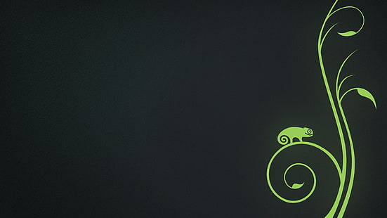 caméléon sur l'illustration de la vigne, openSUSE, Linux, Fond d'écran HD HD wallpaper