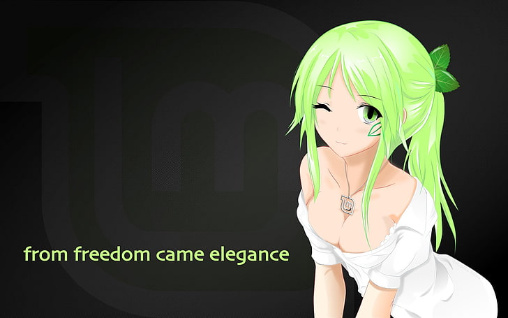 녹색 머리의 여성 애니메이션 캐릭터, Linux Mint, os-tan, HD 배경 화면
