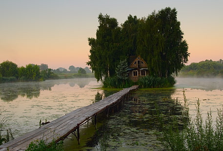 hus omgivet av träd och brygga, ö, hus, sjö, bro, natur, stuga, HD tapet HD wallpaper