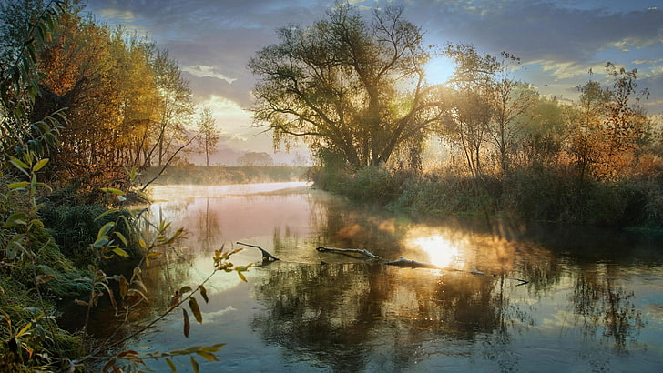 reflection, water, nature, waterway, wetland, bank, dawn, river, morning, bayou, sunrise, sky, fog, tree, mist, HD wallpaper