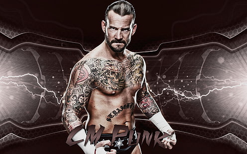 CM Punk Wrestler, Cm Punk, WWE,, campione del mondo, americano, lottatore, Sfondo HD HD wallpaper