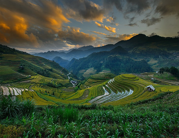 green mountains, the sky, clouds, mountains, hills, field, Vietnam, Mu Cang Chai District, HD wallpaper