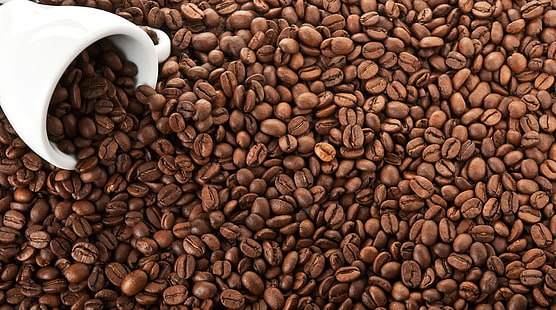coffee grounds, coffee, grain, Cup, white, HD wallpaper HD wallpaper