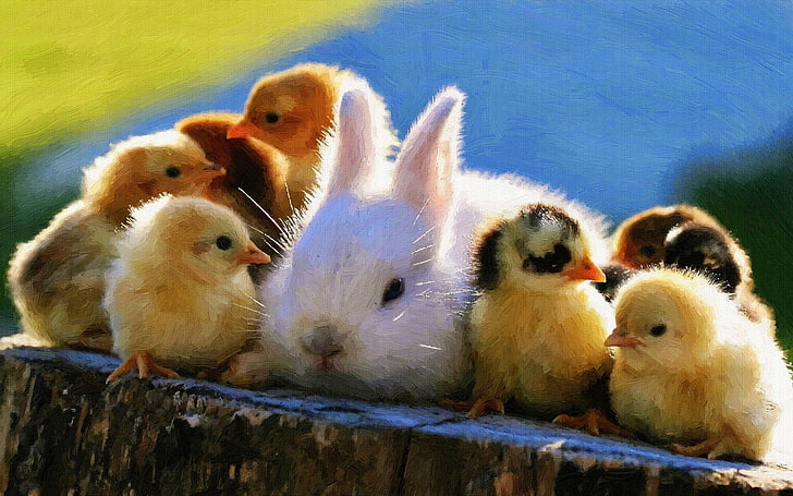 flock of chicks and one white bunny, baby animals, rabbits, chickens, birds, painting, HD wallpaper