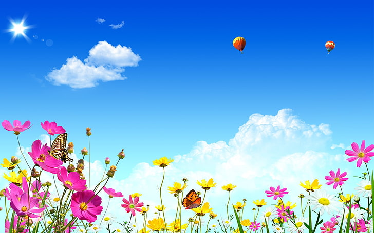 yellow flowers, Cosmos (flower), butterfly, hot air balloons, HD wallpaper