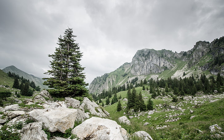 Berglandschaft, Landschaft, Natur, Felsen, Berge, Kiefern, HD-Hintergrundbild