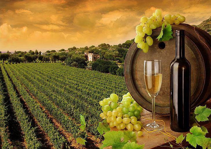 clear flute glass, leaves, wine, white, glass, bottle, grapes, barrel, the vineyards, HD wallpaper