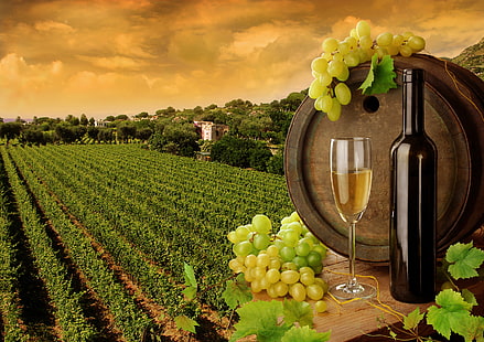 clear flute glass, leaves, wine, white, glass, bottle, grapes, barrel, the vineyards, HD wallpaper HD wallpaper