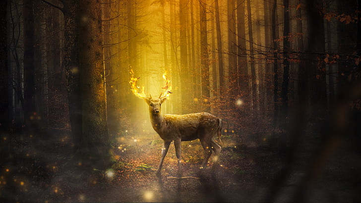 4K, Fire, Deer, Autumn, Forest, HD wallpaper