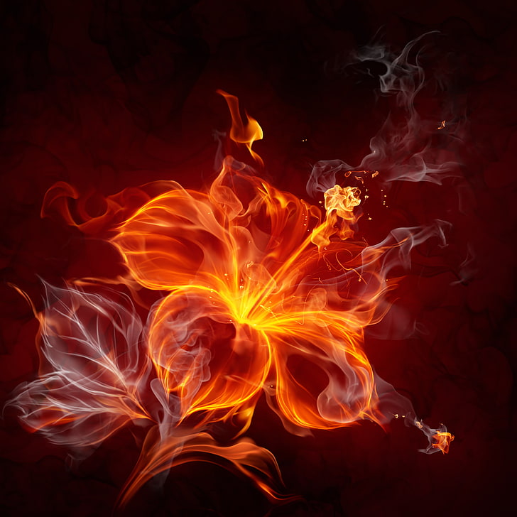 flame flower digital wallpaper, flower, abstraction, fire, HD wallpaper