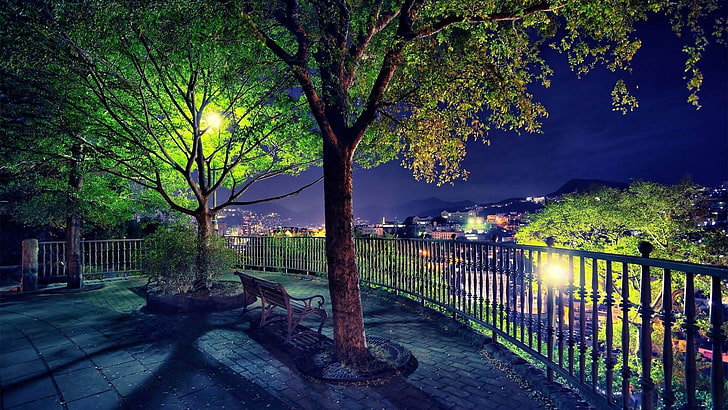 green trees by night wallpaper, trees, cityscape, night, bench, lantern, HD wallpaper