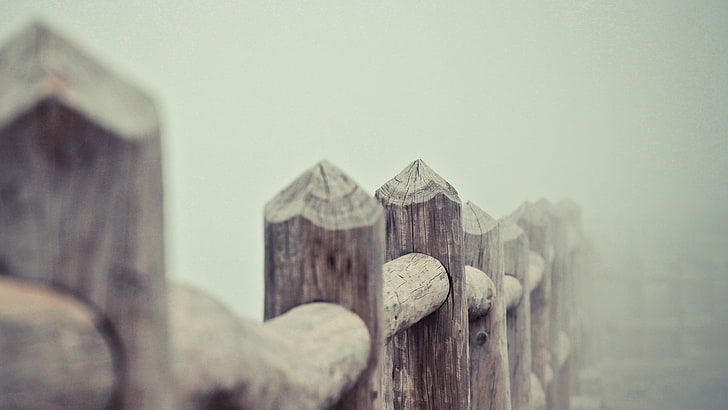 коричневый деревянный забор, фотография, природа, лес, забор, туман, глубина резкости, HD обои