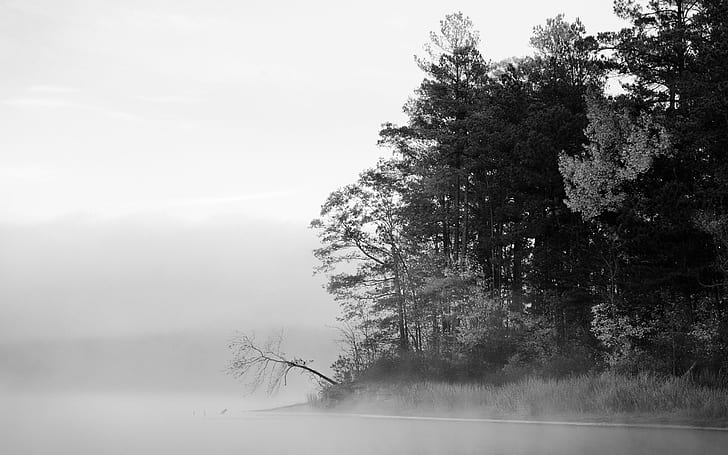 nature trees forest mist winter landscapes lakes 1440x900  Nature Lakes HD Art , nature, Trees, HD wallpaper