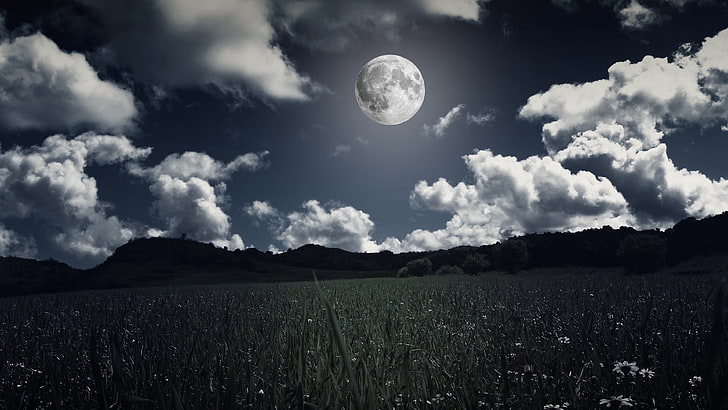 Vollmond, Mondschein, Feld, Nachthimmel, Nacht, Mond, Wolken, Wolke, Himmel, Nachtlandschaft, Landschaft, gute Nacht, HD-Hintergrundbild