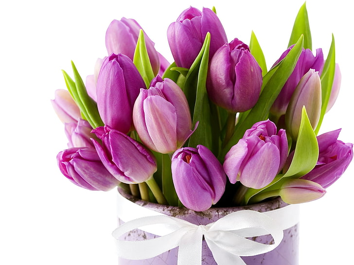 flores roxas de pétalas, tulipas, flores, buquê, vaso, fita, HD papel de parede