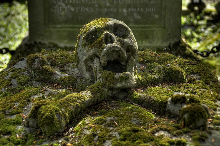 гробища, череп, череп и кости, HD тапет
