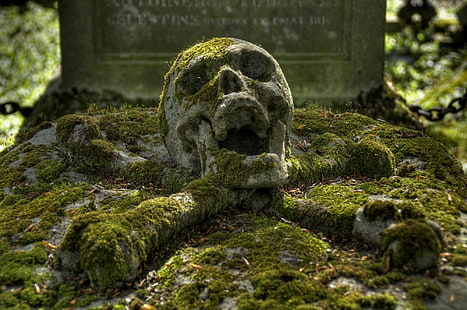 гробища, череп, череп и кости, HD тапет HD wallpaper