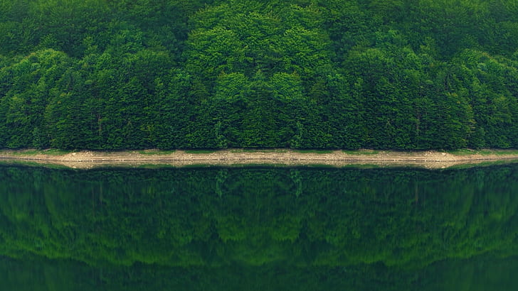 fotografia natureza floresta paisagem árvores rio reflexão monção, HD papel de parede