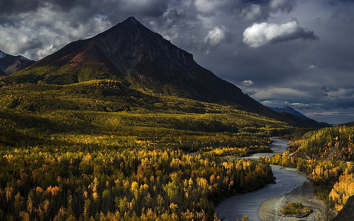горы и растения, пейзаж фото зелено-желтой горы, природа, пейзаж, Аляска, горы, лес, река, осень, облака, деревья, HD обои
