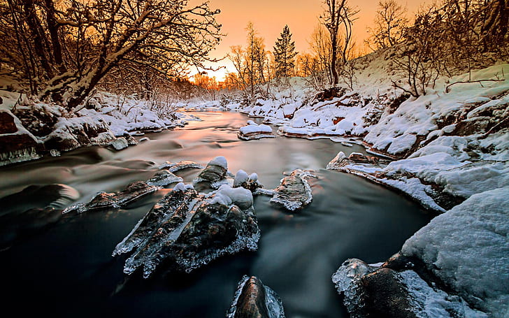 Norway, forest, trees, river, snow, ice, winter, sunset, Norway, Forest, Trees, River, Snow, Ice, Winter, Sunset, HD wallpaper