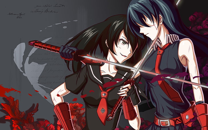два чернокоси женски аниме героя, Akame ga Kill !, кръв, катана, Akame, Kurome (Akame ga Kill), меч, HD тапет