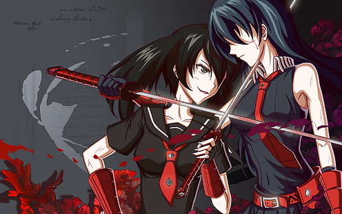 два чернокоси женски аниме героя, Akame ga Kill !, кръв, катана, Akame, Kurome (Akame ga Kill), меч, HD тапет HD wallpaper