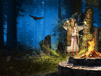 Owl, Fire, Forest, The sorcerer, Paganism, Kolovrat, Idol, HD wallpaper HD wallpaper