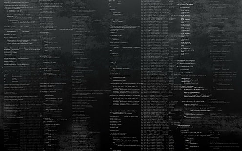 código, programadores, HD papel de parede HD wallpaper