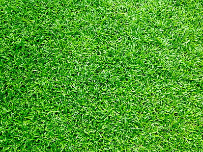 bakgrund, ljus, närbild, miljö, fält, friskhet, trädgård, gräs, gräsplan, grönt, grönt gräs, mark, tillväxt, gräsmatta, natur, utomhus, sommar, gräs, gård, HD tapet HD wallpaper