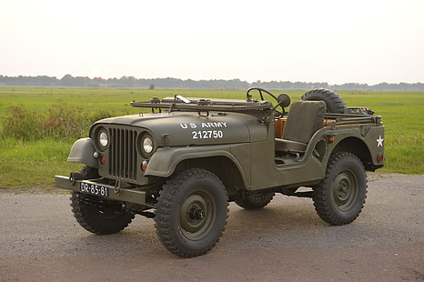 green Jeep M38A1, grass, SUV, car, army, 1955, Jeep, high, patency, &quot;jeep М38А1&quot;, Willys M38A1, HD wallpaper HD wallpaper