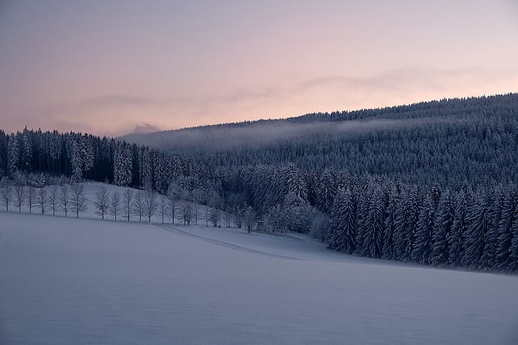 зима, гора, сняг, дървета, Германия, яде, Саксония, Рудни планини, Рудните планини, HD тапет