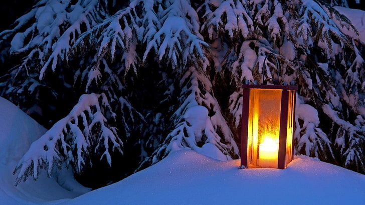 winter, christmas, tree, candel, lantern, celebration, HD wallpaper